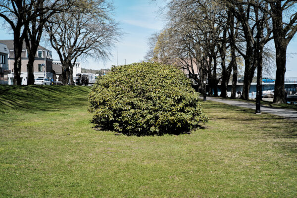 Sjette forsendelse - Bilde 3